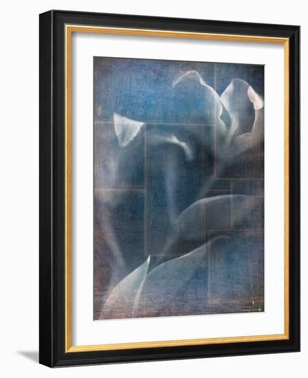 Abstract White Flower on Blue Background-Robert Cattan-Framed Photographic Print