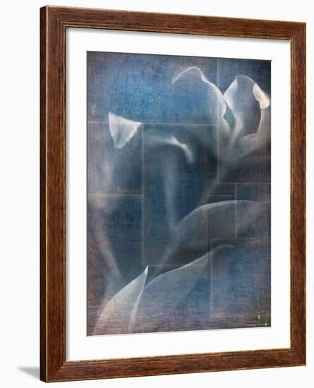 Abstract White Flower on Blue Background-Robert Cattan-Framed Photographic Print