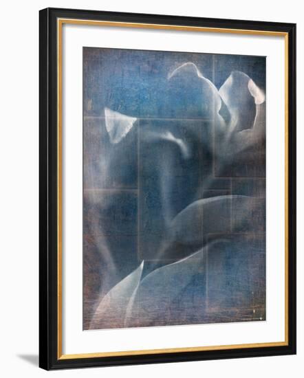 Abstract White Flower on Blue Background-Robert Cattan-Framed Photographic Print