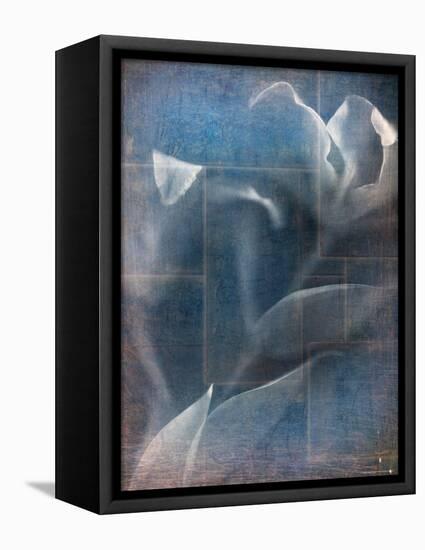 Abstract White Flower on Blue Background-Robert Cattan-Framed Premier Image Canvas