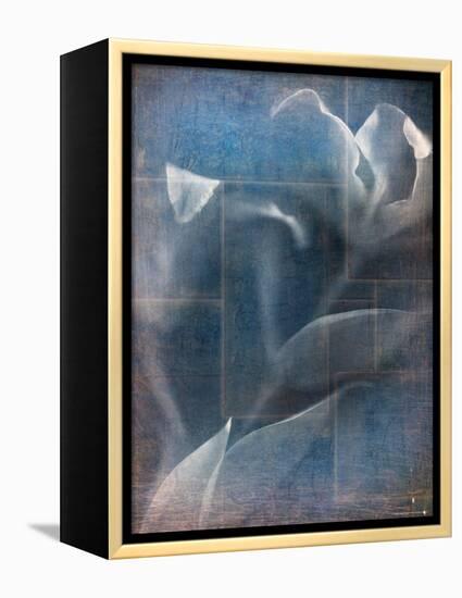 Abstract White Flower on Blue Background-Robert Cattan-Framed Premier Image Canvas