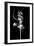 Abstract White Smoke - Prima Ballerina-Philippe HUGONNARD-Framed Art Print