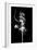 Abstract White Smoke - Prima Ballerina-Philippe HUGONNARD-Framed Art Print