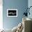 Abstract White Smoke - Shark-Philippe HUGONNARD-Framed Art Print displayed on a wall