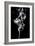 Abstract White Smoke - Tulip Dream-Philippe HUGONNARD-Framed Art Print