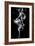 Abstract White Smoke - Tulip Dream-Philippe HUGONNARD-Framed Art Print