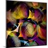 Abstract with Circles-Ursula Abresch-Mounted Premium Photographic Print