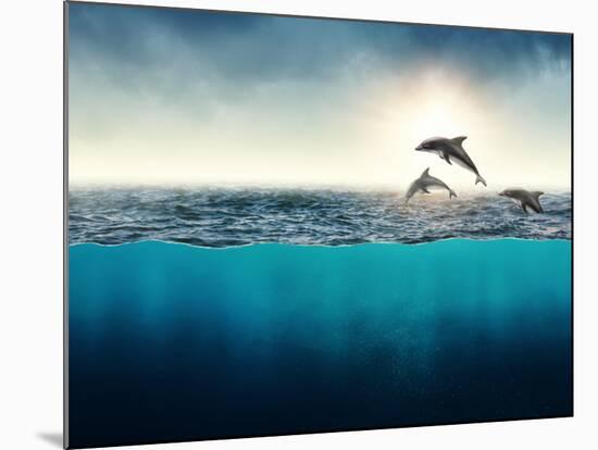 Abstract with Dolphins in Ocean-Elena Schweitzer-Mounted Photographic Print