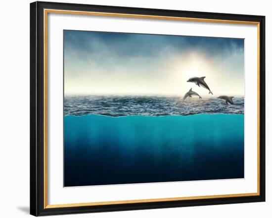 Abstract with Dolphins in Ocean-Elena Schweitzer-Framed Photographic Print