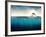 Abstract with Dolphins in Ocean-Elena Schweitzer-Framed Photographic Print