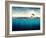 Abstract with Dolphins in Ocean-Elena Schweitzer-Framed Photographic Print