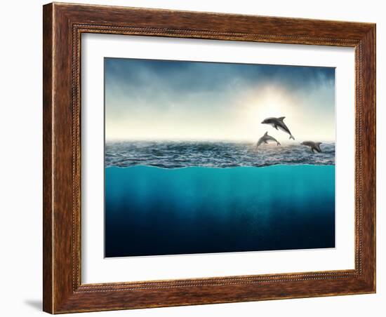 Abstract with Dolphins in Ocean-Elena Schweitzer-Framed Photographic Print