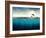 Abstract with Dolphins in Ocean-Elena Schweitzer-Framed Photographic Print