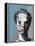 Abstract Woman II-Enrico Varrasso-Framed Stretched Canvas