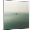 Abstraction Marine-Viviane Fedieu Daniel-Mounted Photographic Print