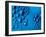 Abstraction-Felipe Rodriguez-Framed Photographic Print