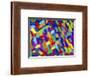 Abstractions-Diana Ong-Framed Giclee Print