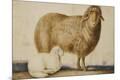 Giclee Print