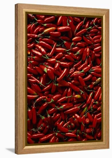 Abundance of Red Chilies-Randy Faris-Framed Premier Image Canvas