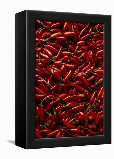 Abundance of Red Chilies-Randy Faris-Framed Premier Image Canvas