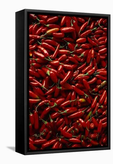 Abundance of Red Chilies-Randy Faris-Framed Premier Image Canvas