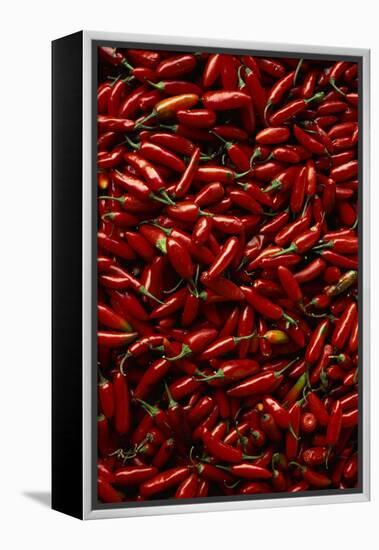 Abundance of Red Chilies-Randy Faris-Framed Premier Image Canvas