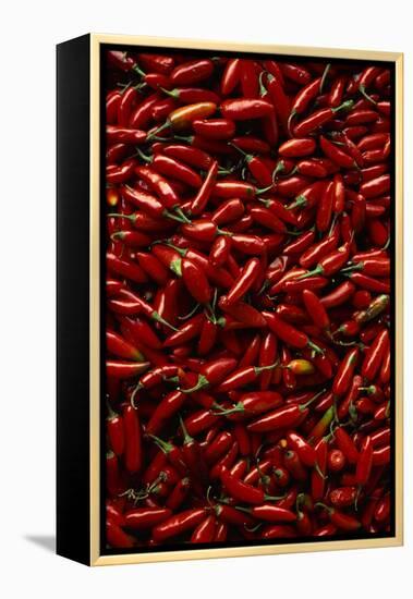 Abundance of Red Chilies-Randy Faris-Framed Premier Image Canvas