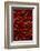 Abundance of Red Chilies-Randy Faris-Framed Photographic Print