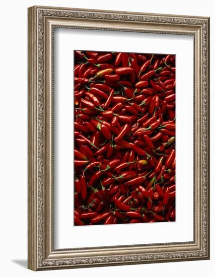 Abundance of Red Chilies-Randy Faris-Framed Photographic Print