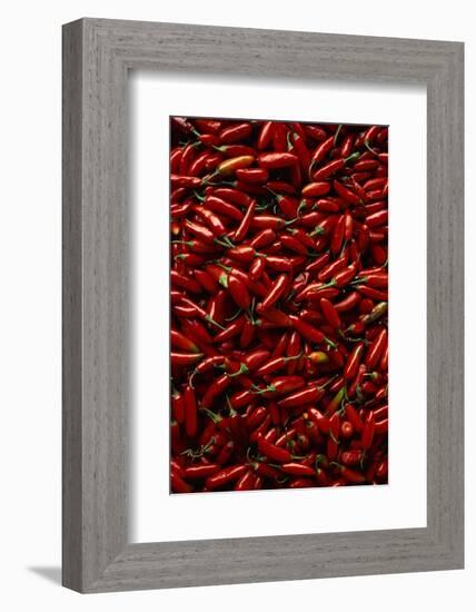 Abundance of Red Chilies-Randy Faris-Framed Photographic Print