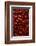 Abundance of Red Chilies-Randy Faris-Framed Photographic Print