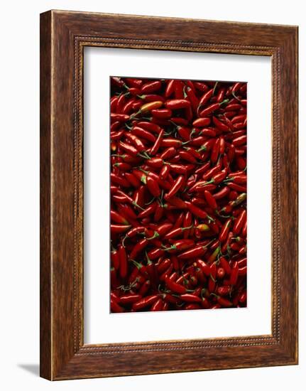 Abundance of Red Chilies-Randy Faris-Framed Photographic Print