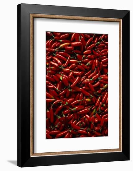 Abundance of Red Chilies-Randy Faris-Framed Photographic Print