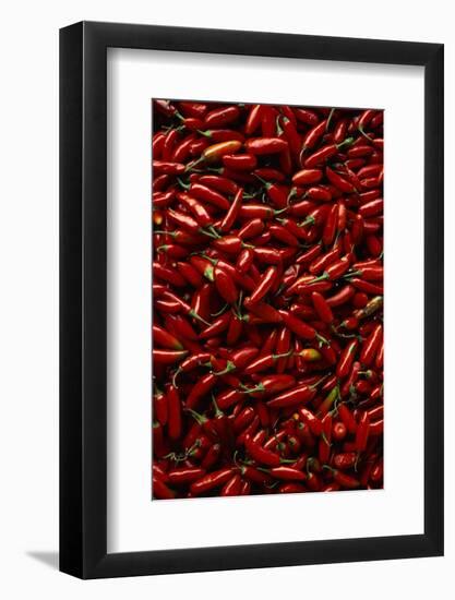 Abundance of Red Chilies-Randy Faris-Framed Photographic Print