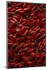 Abundance of Red Chilies-Randy Faris-Mounted Photographic Print