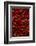 Abundance of Red Chilies-Randy Faris-Framed Photographic Print