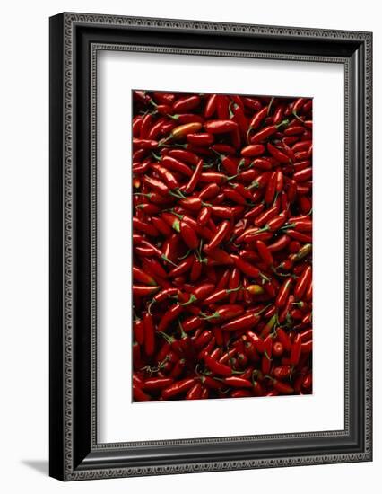 Abundance of Red Chilies-Randy Faris-Framed Photographic Print