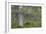 Abundant Forest-Staffan Widstrand-Framed Giclee Print