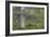 Abundant Forest-Staffan Widstrand-Framed Giclee Print