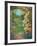 Abundant Spring II-Carson-Framed Giclee Print