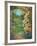 Abundant Spring II-Carson-Framed Giclee Print