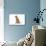 Abyssinian Cat-Fabio Petroni-Photographic Print displayed on a wall
