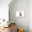 Abyssinian Cat-Fabio Petroni-Photographic Print displayed on a wall