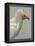 Abyssinian Egyptian Vulture-null-Framed Premier Image Canvas