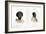 Abyssinian Portraits, 1848-null-Framed Giclee Print