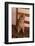 Abyssinian Ruddy Cat Sitting on Chair-DLILLC-Framed Photographic Print
