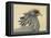 Abyssinian Secretary Bird-null-Framed Premier Image Canvas