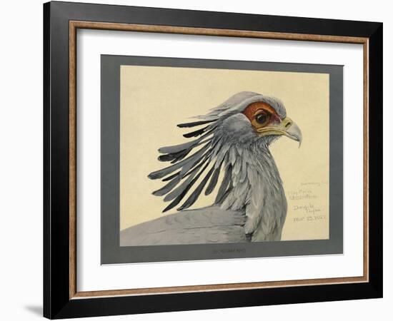 Abyssinian Secretary Bird-null-Framed Giclee Print