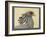 Abyssinian Secretary Bird-null-Framed Giclee Print