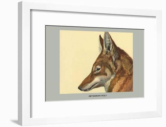 Abyssinian Wolf-Louis Agassiz Fuertes-Framed Art Print